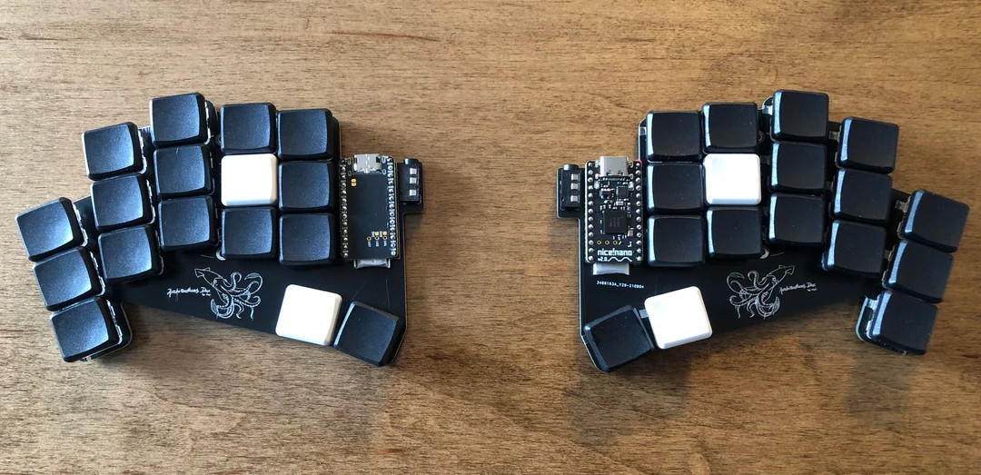 A.dux (Architeuthis dux). Источник.